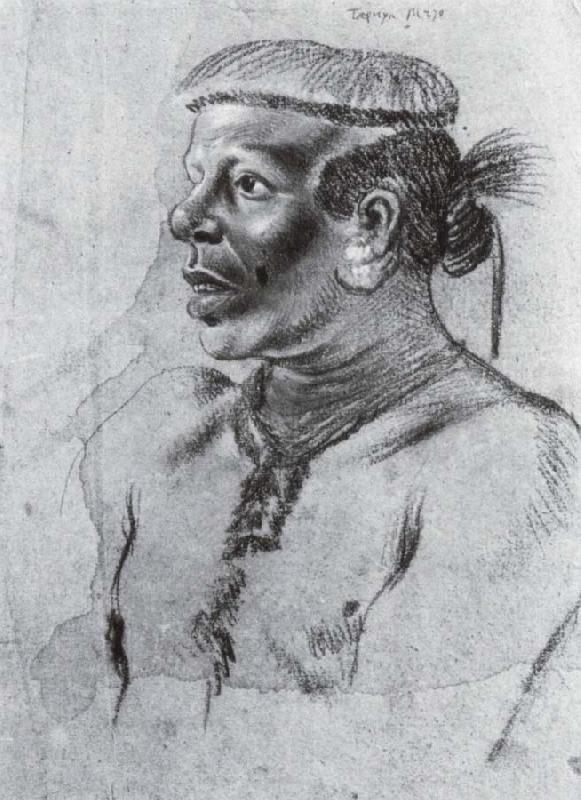 Albert van der Eeckhout Tapuya Indianer oil painting image